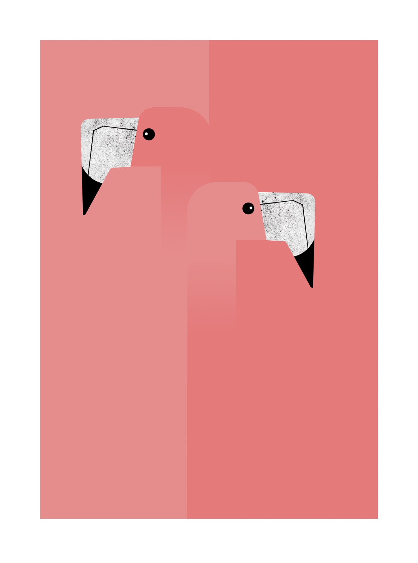 Flamingos