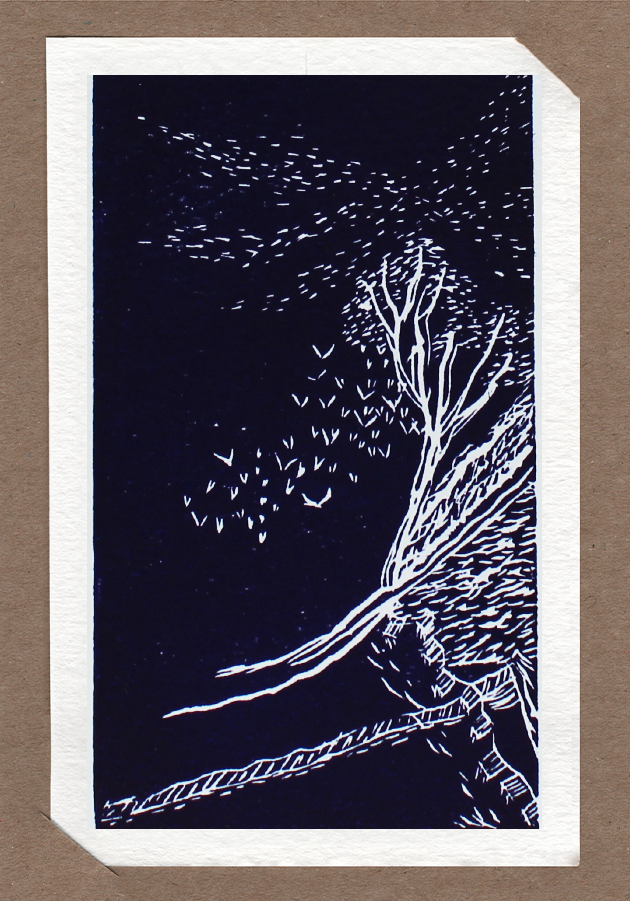 Linocut illustration of a solitary tree on a hillside, surrounded by flying birds under a night sky. Handmade art card by Belgian illustrator Ilia Claus. Includes passe-partout and envelope.