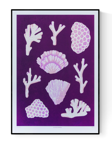 Modern coral reef art print titled ‘Corals’ by Linde Raats, featuring stylized pink and white coral shapes on a deep purple background. A vibrant and nature-inspired illustration perfect for coastal decor, ocean lovers, and contemporary interior design. Available exclusively at Galerie Frits