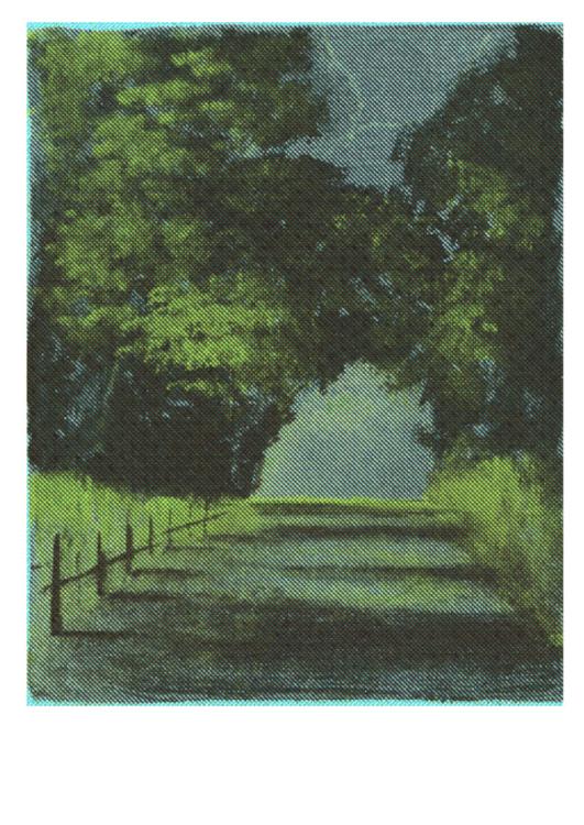 Dreamy risograph print by Nattosito titled ‘D942’, depicting a peaceful countryside road surrounded by lush green trees under a dramatic sky. A nostalgic and moody landscape artwork perfect for nature lovers and serene interior decor. Available at Galerie Frits