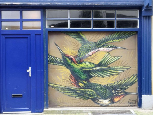 Creative Urban Safari