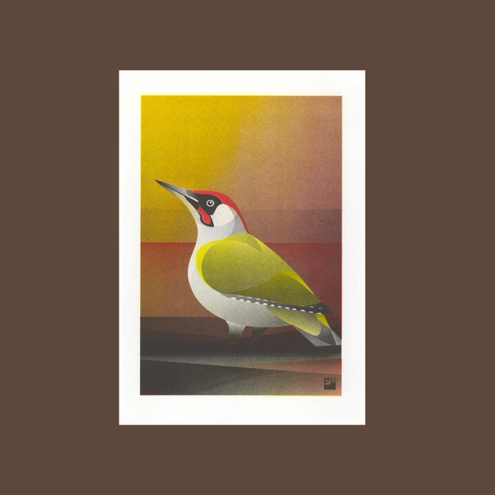 Colorful risograph art print of a European Green Woodpecker (Picus viridis) by VrijFormaat, minimalist bird illustration in yellow, green, and red tones on A4 eco-friendly paper – modern wall art made in the Netherlands