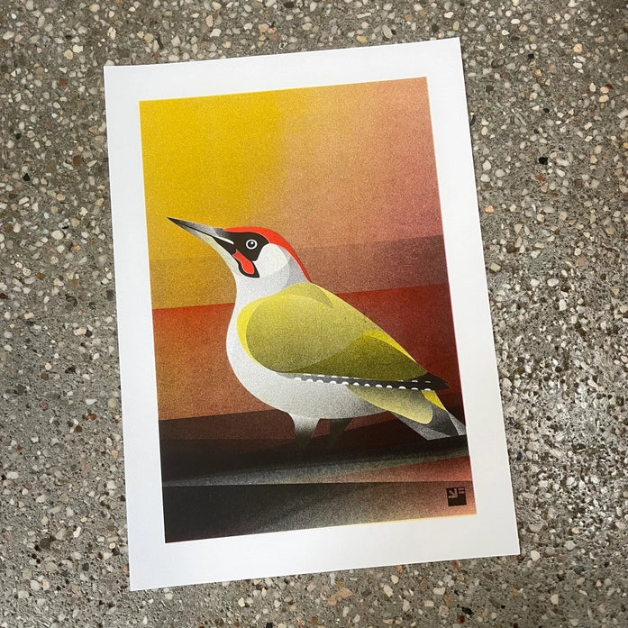 Colorful risograph art print of a European Green Woodpecker (Picus viridis) by VrijFormaat, minimalist bird illustration in yellow, green, and red tones on A4 eco-friendly paper – modern wall art made in the Netherlands