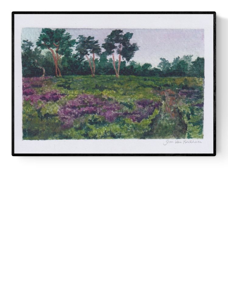 Peaceful countryside landscape print titled Landscape 3 by Belgian illustrator Stien van Kerckhoven, featuring green heath fields and purple wildflowers – A5 size fine art print made in Belgium.