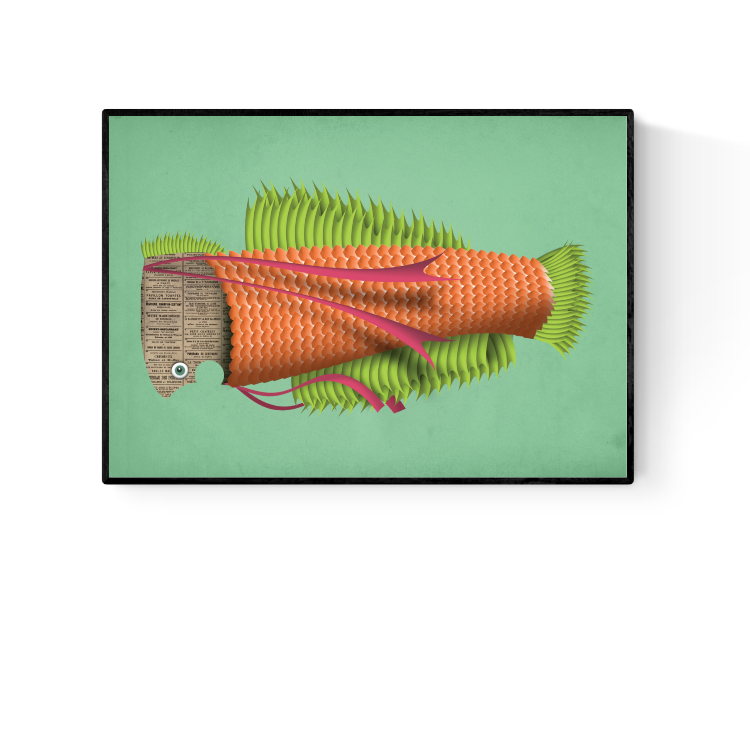 "Eduard the Fish" art print by Studio Frits – imaginative digital illustration of an orange and green stylized fish with textured scales, vibrant fins, and a newspaper-textured head, perfect for modern art lovers and playful home decor, available at Galerie Frits.