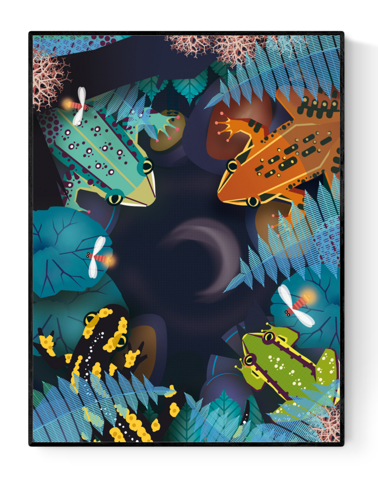 Colorful night scene illustration featuring frogs and a salamander in a tropical forest by Studio Frits – vibrant 30 x 40 cm art print perfect for nature and animal lovers