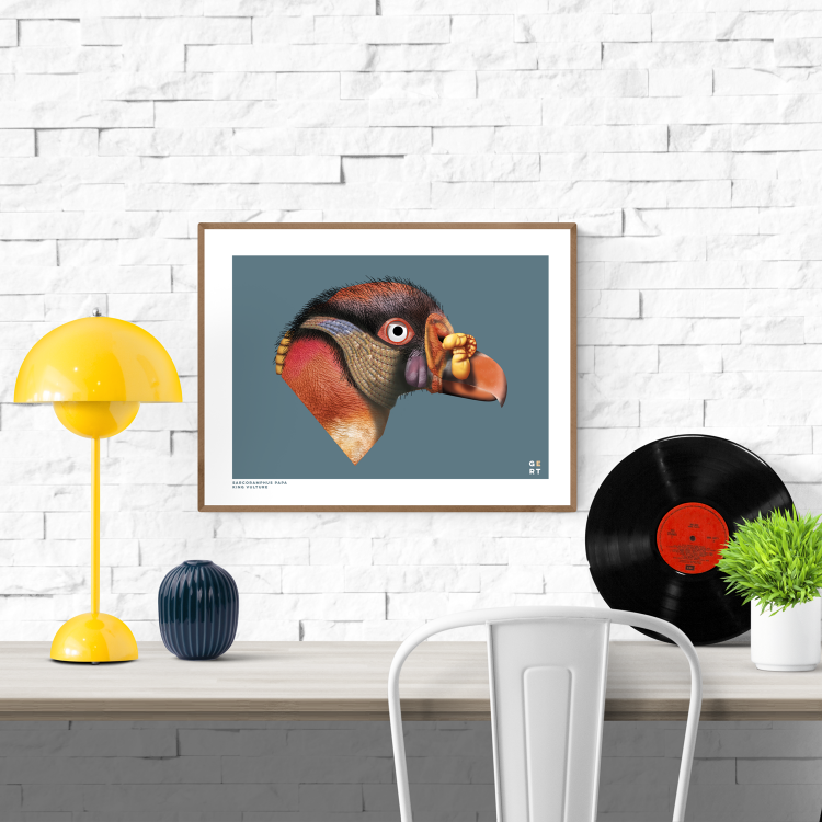 buy king vulture illustration artprint by Studio Frits