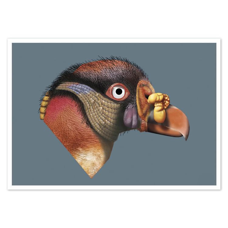 buy postcard king vulture illustration