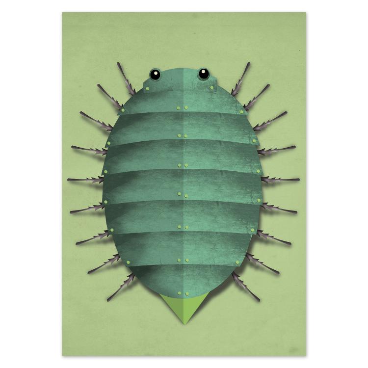 buy postcards with insect / bug illustrations