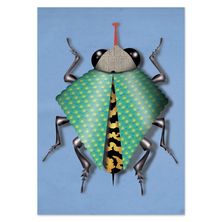 buy postcards with insect / bug illustrations