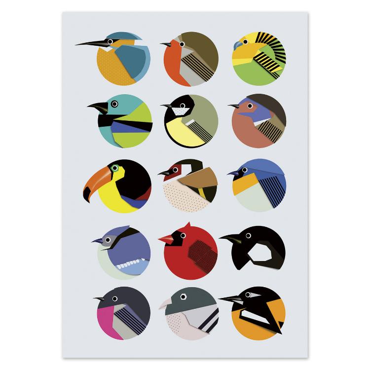 Colorful illustrated postcard of geometric bird portraits by Gert Paenen of Studio Frits. Featuring sixteen stylized birds in bold circular compositions, this modern design celebrates nature through vibrant colors, clean shapes, and playful minimalism — perfect for design and bird lovers alike.