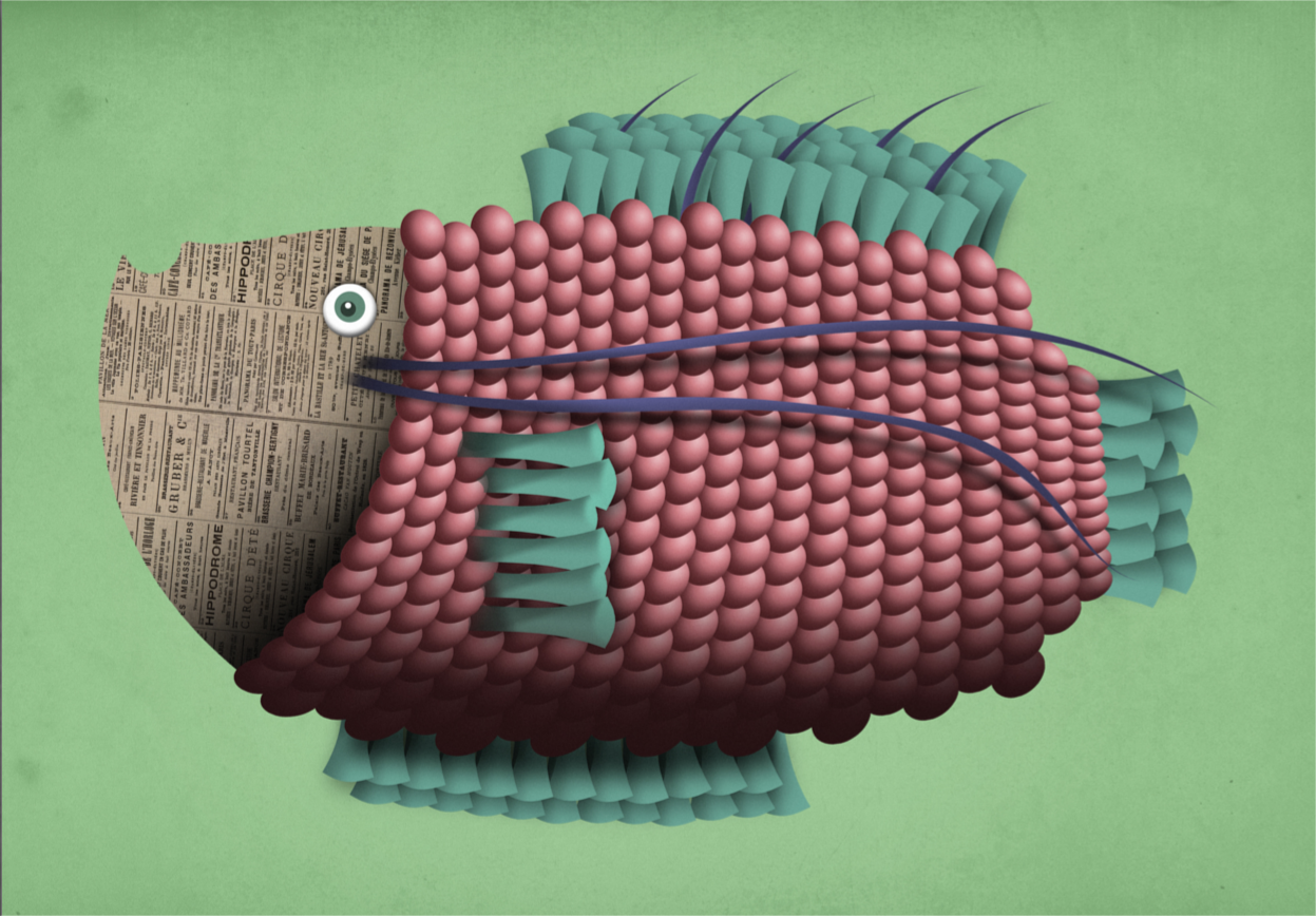 Colorful fish illustration with textured pink scales, teal fins, and a newspaper-textured head on a green background – whimsical aquatic art print by Studio Frits, titled Jeanne P’oisson, 21 x 29.7 cm.