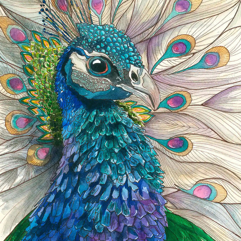 Giu Watercolor