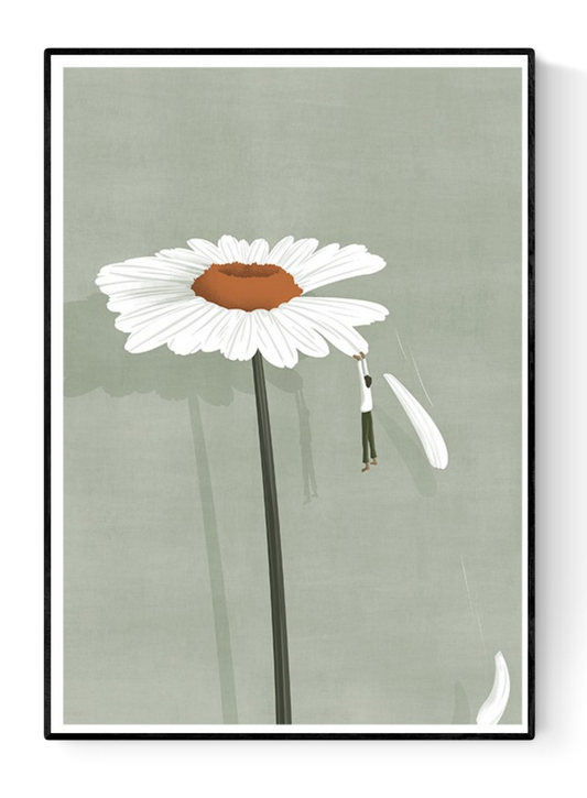 buy illustration with daisy flower by Ana Yael