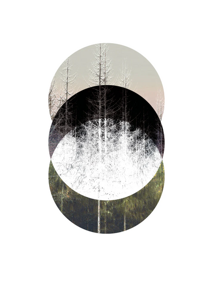 Minimalist Nordic forest art print titled Barrträd by Studio Frits — serene digital collage of pine trees in layered circular compositions, inspired by Swedish nature and Scandinavian design. Perfect wall art for modern interiors in Belgium, the Netherlands, France, and Germany.