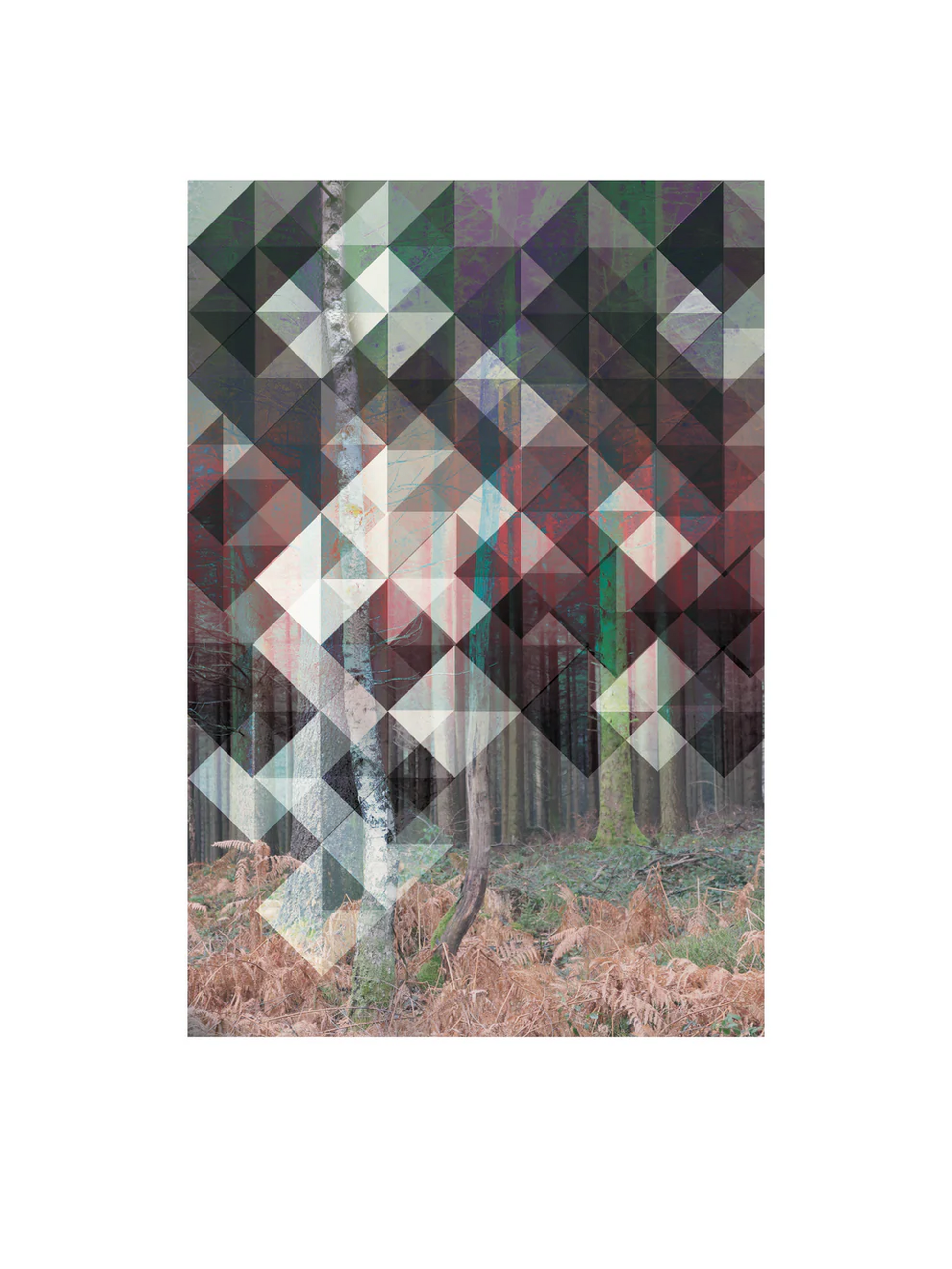 Birk art print by Studio Frits – geometric Scandinavian forest artwork by Belgian illustrator Gert Paenen, inspired by Swedish woods, combining photography and abstract patterns in calm earthy tones – Nordic wall art for modern interiors