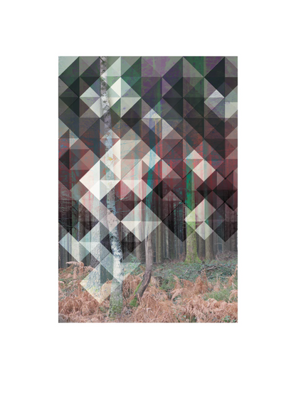 Birk art print by Studio Frits – geometric Scandinavian forest artwork by Belgian illustrator Gert Paenen, inspired by Swedish woods, combining photography and abstract patterns in calm earthy tones – Nordic wall art for modern interiors