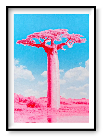 Fluor pink and blue silkscreen art print of a Baobab tree by PTRVRKD, modern handmade A2 screen print on 250 gsm paper, limited edition of 25.
