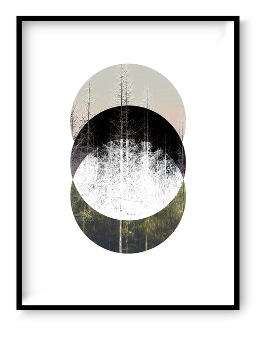 Minimalist Nordic forest art print titled Barrträd by Studio Frits — serene digital collage of pine trees in layered circular compositions, inspired by Swedish nature and Scandinavian design. Perfect wall art for modern interiors in Belgium, the Netherlands, France, and Germany.