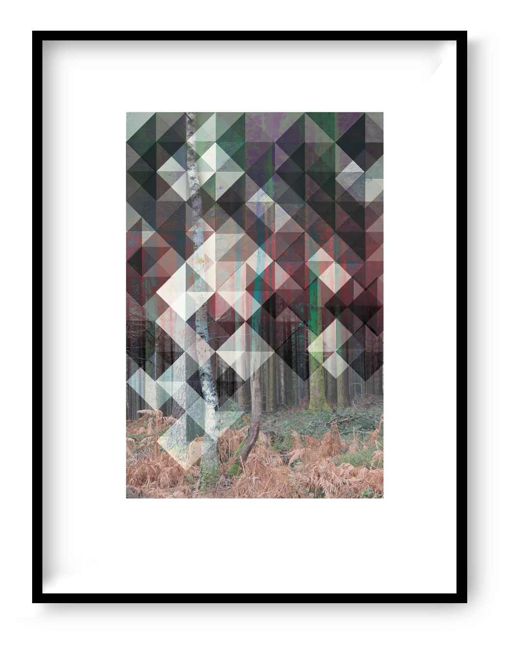 Birk art print by Studio Frits – geometric Scandinavian forest artwork by Belgian illustrator Gert Paenen, inspired by Swedish woods, combining photography and abstract patterns in calm earthy tones – Nordic wall art for modern interiors