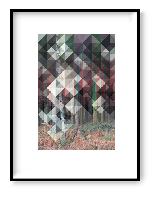 Birk art print by Studio Frits – geometric Scandinavian forest artwork by Belgian illustrator Gert Paenen, inspired by Swedish woods, combining photography and abstract patterns in calm earthy tones – Nordic wall art for modern interiors