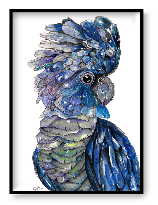 Blue-black cockatoo watercolor art print by Giu, A4 size, featuring an expressive parrot with deep blue feathers and fine details, printed on Modigliani Neve 320 g paper, contemporary animal wall art made in Belgium.