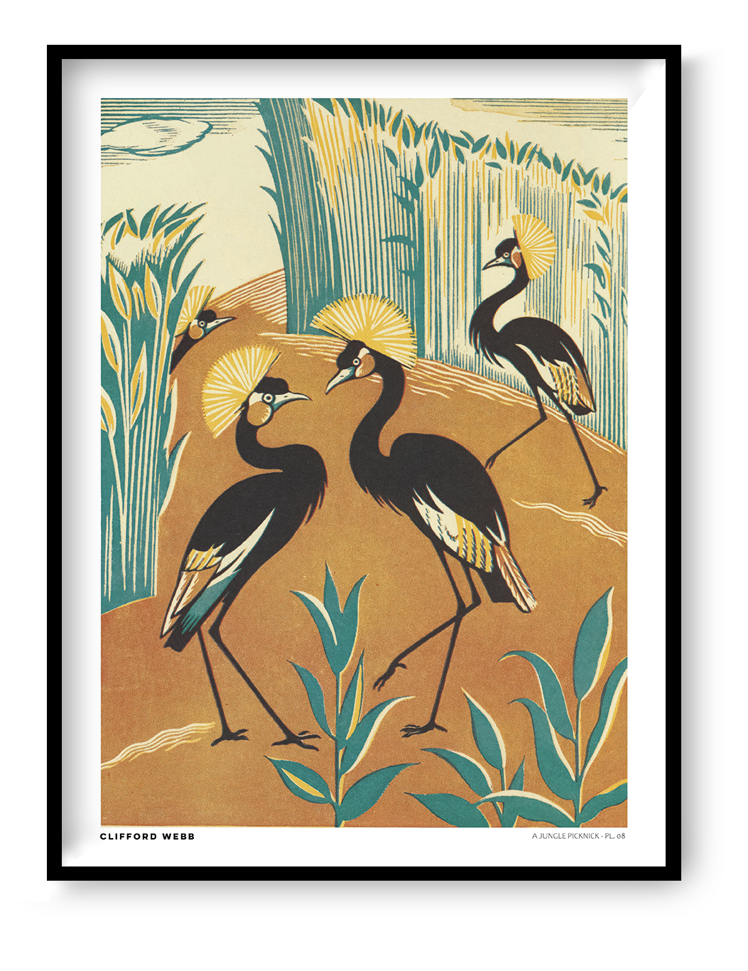 Vintage-style vertical illustration of four black crowned cranes with golden feather crests among teal reeds and warm orange earth. A Jungle Picknick by Clifford Webb, reproduced as a digital wall art print.