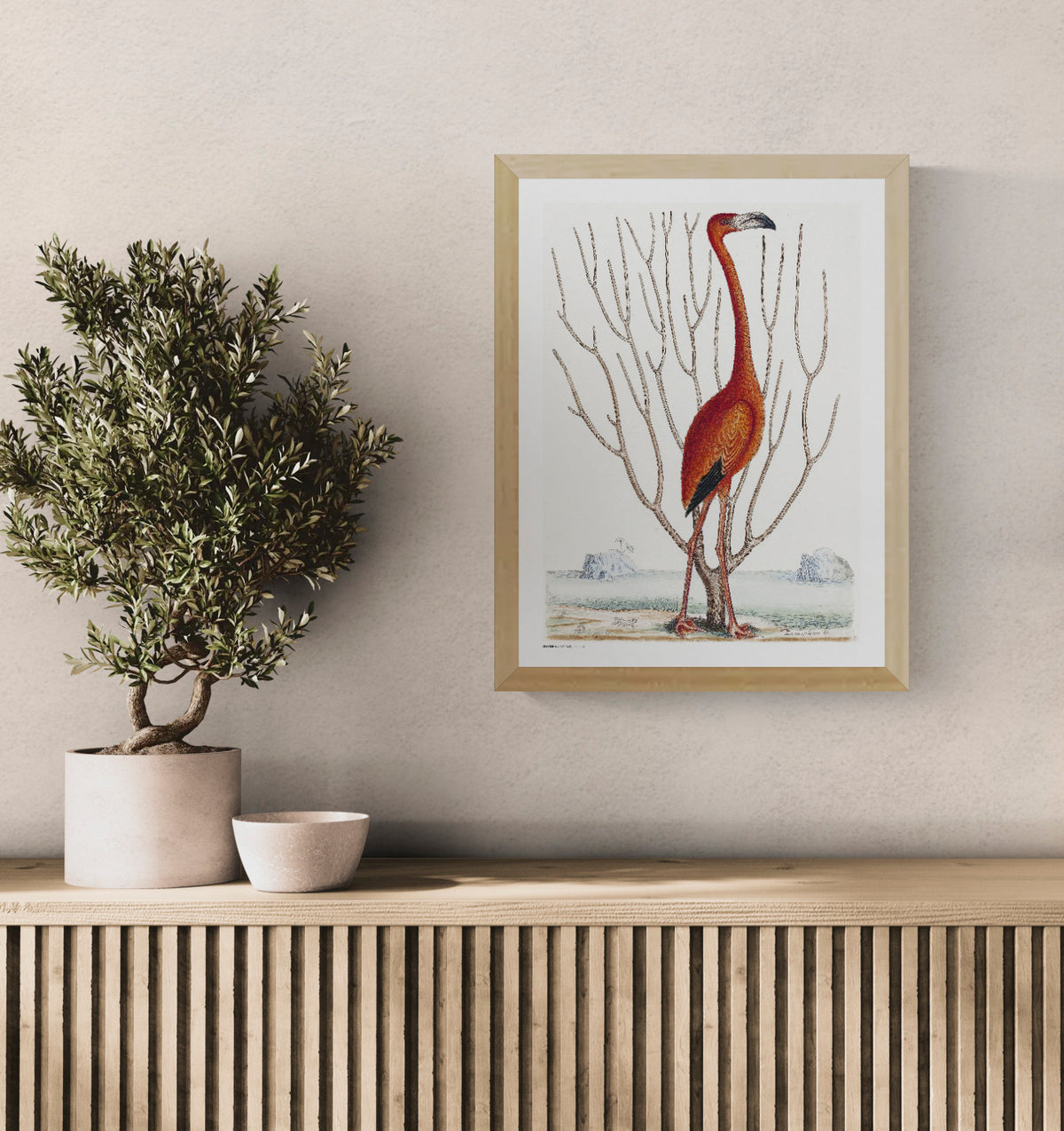 Vintage natural history illustration of a tall red-orange flamingo by Mark Catesby, surrounded by bare branches and a pale coastal landscape. Vertical digital print for nature-inspired wall decor.