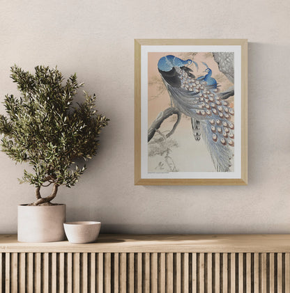 Two blue peacocks perched on a pine tree branch in a vintage Japanese woodblock style by Ohara Koson, with peach, grey and cream tones. Vertical digital art print for elegant wall decor.