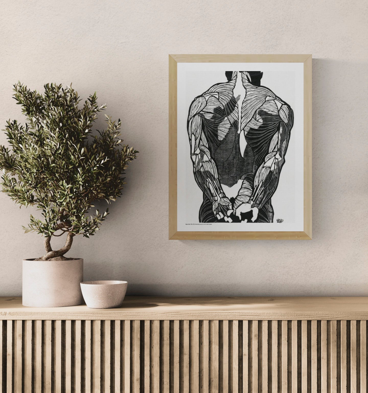 Black and white anatomical study of a man's back muscles by Reijer Stolk, featuring bold graphic linework and strong contrast in a vertical format, ideal as distinctive wall art for a modern office, studio or home.