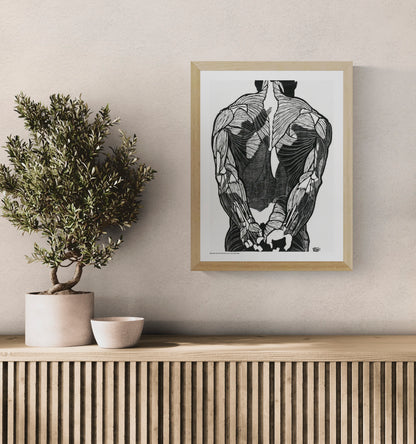Black and white anatomical study of a man's back muscles by Reijer Stolk, featuring bold graphic linework and strong contrast in a vertical format, ideal as distinctive wall art for a modern office, studio or home.