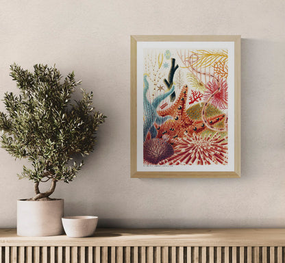 Vertical vintage natural history illustration of colourful echinoderms, sea urchins and branching marine forms in red, blue, orange and green, reproduced as a digital print for distinctive wall decor.