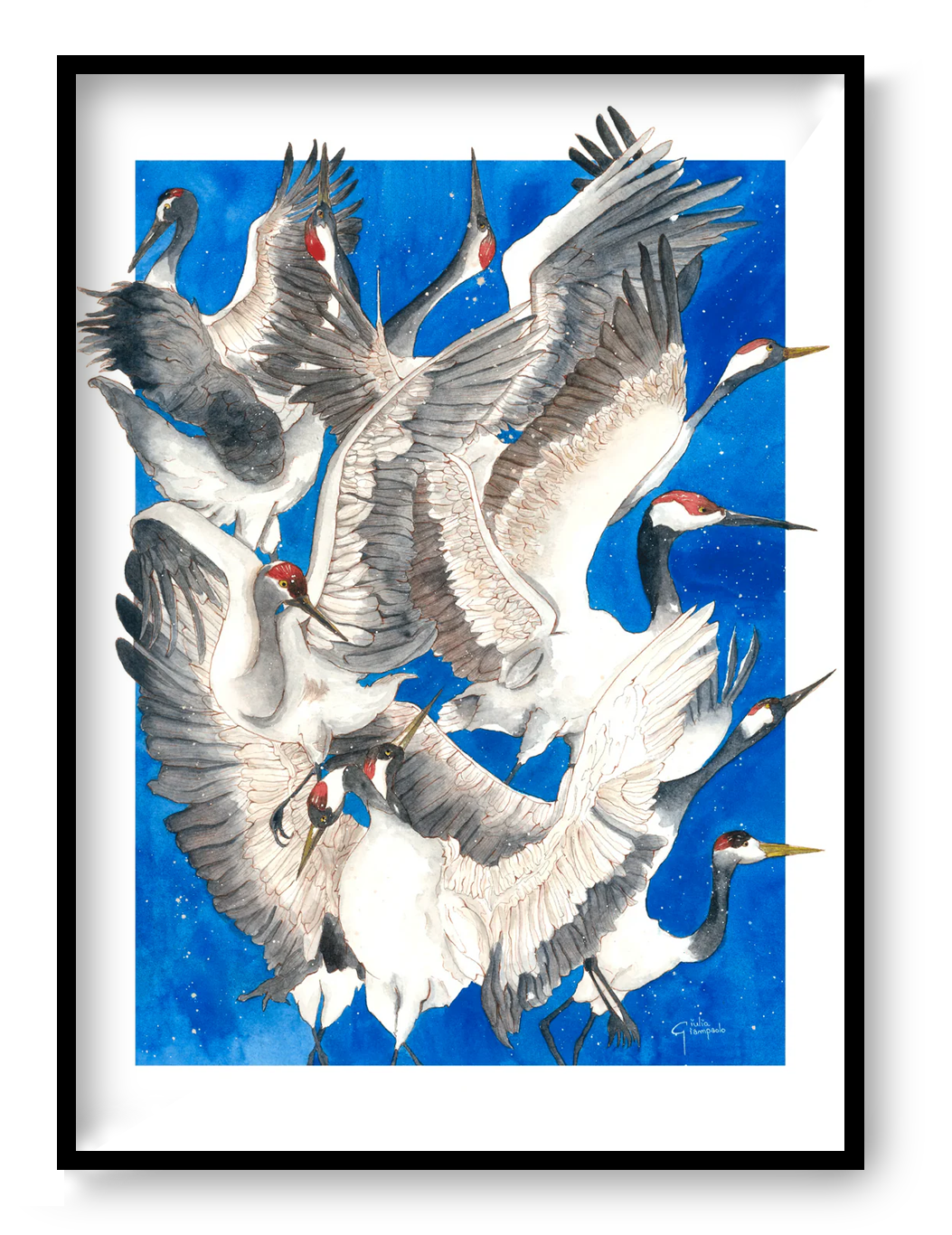 Watercolor art print titled “Caos” by Giu, featuring expressive flying cranes in motion on a deep blue background, printed in Belgium, contemporary illustration, 30 x 40 cm wall art for modern home decor.