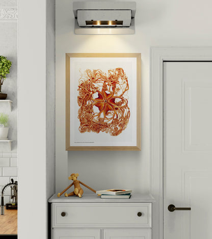 Detailed orange scientific illustration of a Gorgonocephalus arcticus basket star by Carl Chun, with curling arms on a white background, vertical digital print for marine-inspired wall decor.