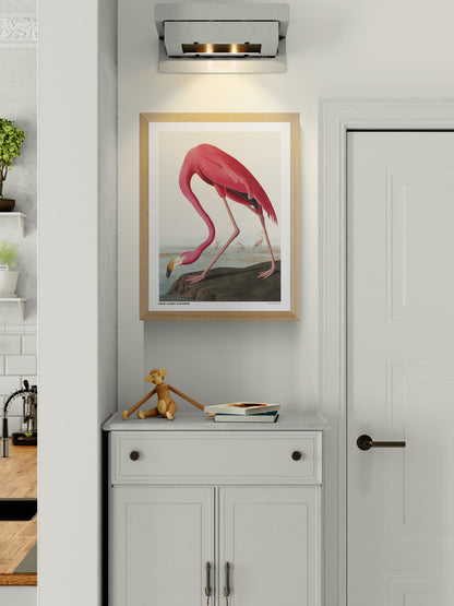 Vintage natural history illustration of a bright pink flamingo bending its long neck toward the water, with smaller flamingos in the background. Detailed vertical wildlife artwork by John James Audubon, ideal for colorful wall decor.