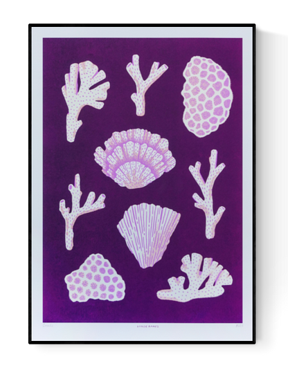 Modern coral reef art print titled ‘Corals’ by Linde Raats, featuring stylized pink and white coral shapes on a deep purple background. A vibrant and nature-inspired illustration perfect for coastal decor, ocean lovers, and contemporary interior design. Available exclusively at Galerie Frits