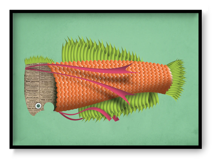 A4 art print “Eduard the Fish” by Studio Frits, colorful graphic fish illustration with textured details, playful wall art for modern interiors.