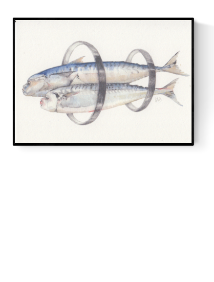 Buy sardines illustration by FAB