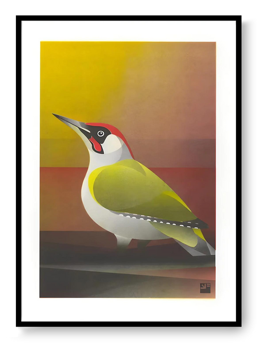 Green woodpecker risograph print with geometric shapes and earthy colors, handmade bird illustration by VrijFormaat in A4 format