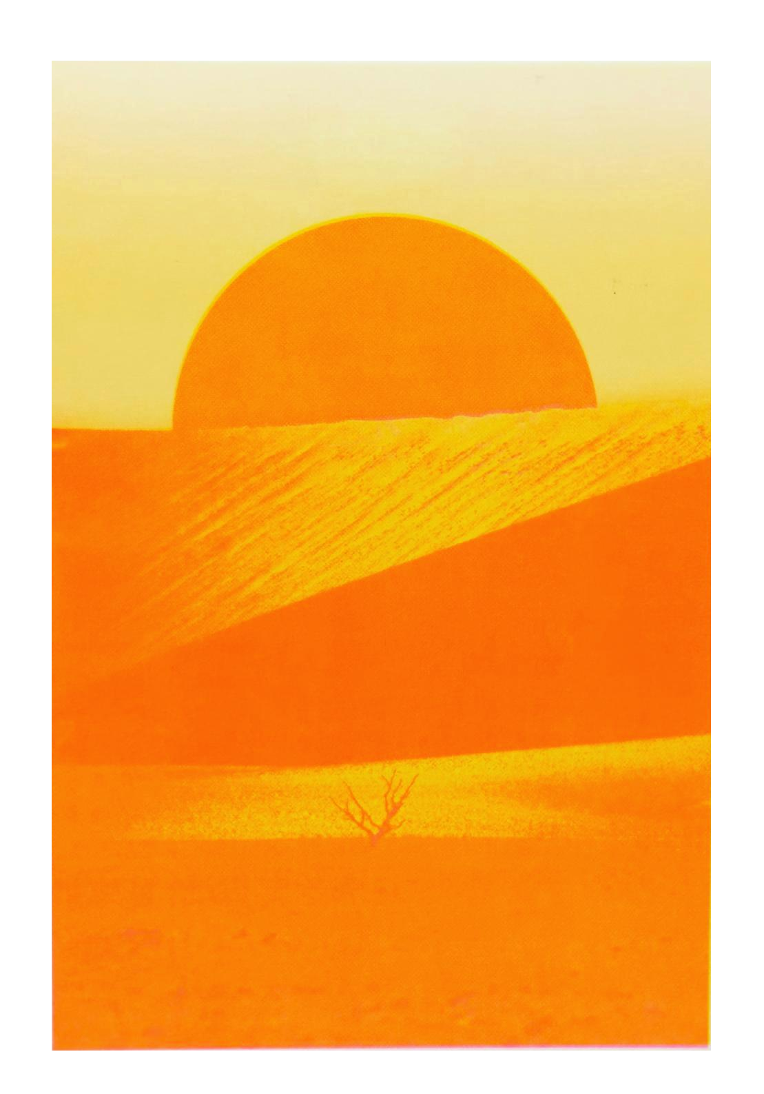Risograph art print ‘Sossusvlei’ by PTRVRKD, featuring a bright orange desert landscape with a rising sun, minimal dunes, and a solitary dry tree, printed on Munken Pure Rough paper in A3 size. Limited-edition modern landscape artwork inspired by the Namib Desert.