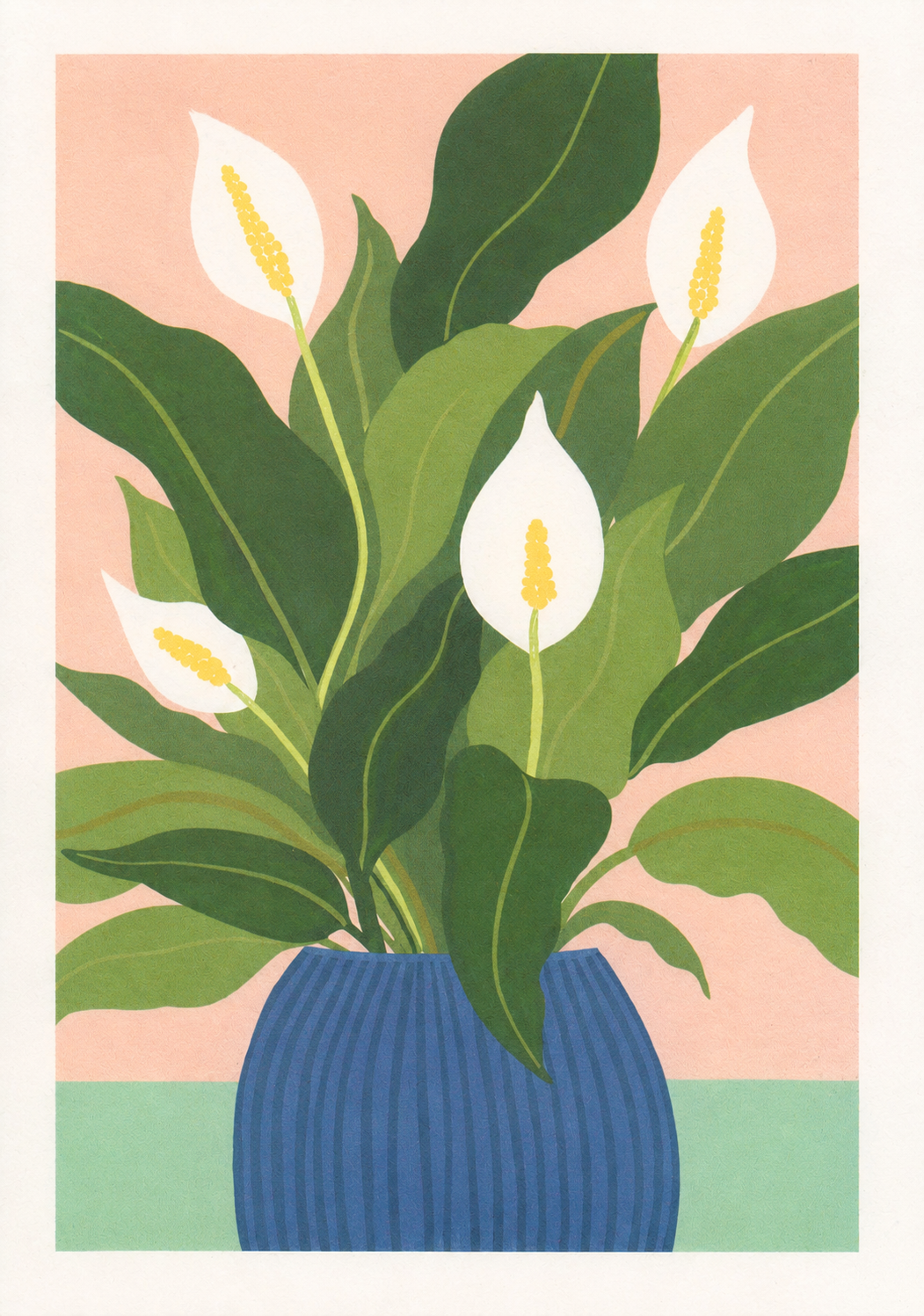 Peace Lilly botanical art print by Leen De Pelseneer featuring white peace lily flowers and large green leaves in a blue vase on a soft pink background, contemporary A4 digital wall art print.