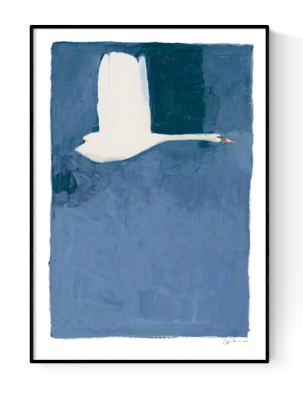 Buy swan illustration by Jorgen Hansson