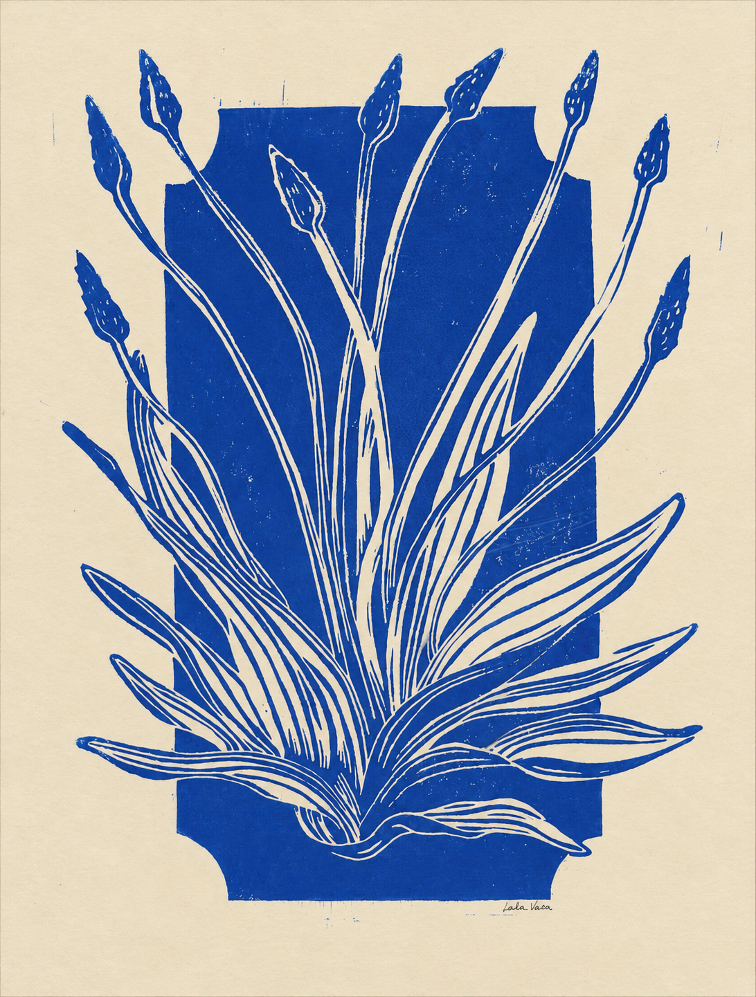 Smalle Weegbree by Leda Vaes, vertical botanical linocut print featuring hand-carved narrowleaf plantain leaves and flower spikes in cobalt blue on warm cream paper, ideal for botanical wall decor.