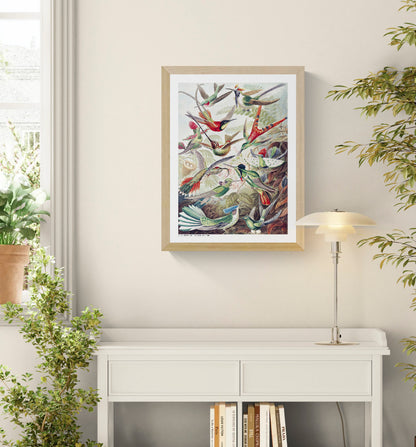 Vintage scientific illustration of colorful hummingbirds among tropical plants by Ernst Haeckel, digital print in portrait format, ideal for botanical wall art and nature-inspired home decor.
