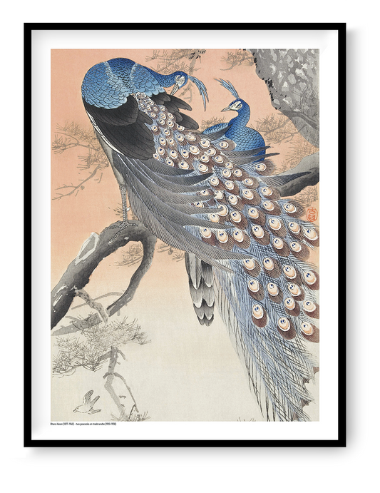 Two blue peacocks perched on a pine tree branch in a vintage Japanese woodblock style by Ohara Koson, with peach, grey and cream tones. Vertical digital art print for elegant wall decor.