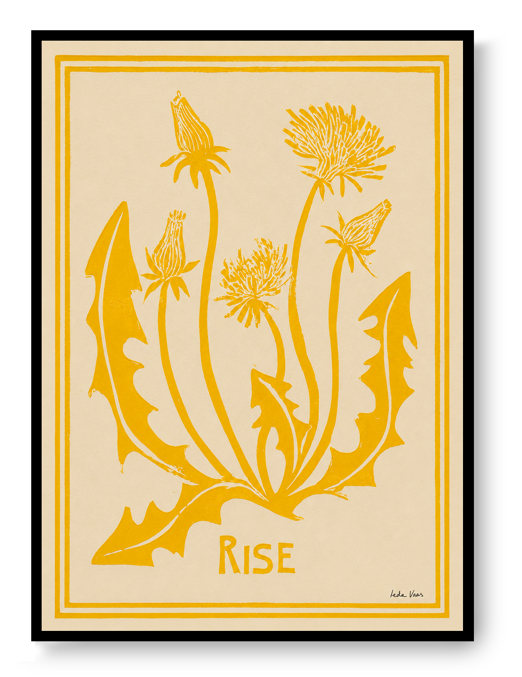 Rise (Yellow)