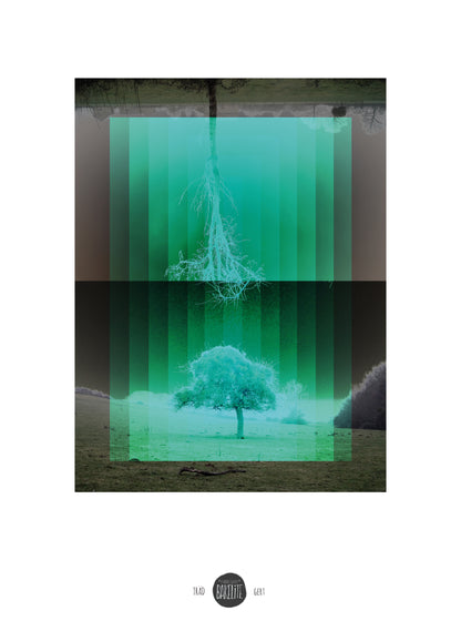 Nordic-inspired art print Träd by Studio Frits – a minimalist digital artwork by Belgian illustrator Gert Paenen featuring mirrored trees in green gradients, symbolizing nature, reflection, and Scandinavian calm. Perfect wall art for modern, nature-inspired homes in Belgium, the Netherlands, France, and Germany.