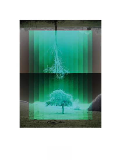 Nordic-inspired art print Träd by Studio Frits – a minimalist digital artwork by Belgian illustrator Gert Paenen featuring mirrored trees in green gradients, symbolizing nature, reflection, and Scandinavian calm. Perfect wall art for modern, nature-inspired homes in Belgium, the Netherlands, France, and Germany.