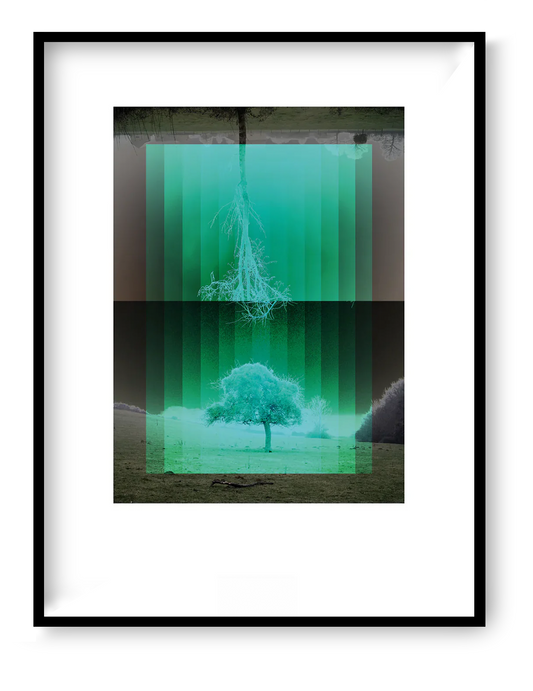 Green mirrored tree landscape art print with Scandinavian forest mood and layered light effects, modern nature wall decor by Studio Frits