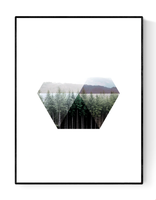 Minimalist geometric forest art print “Tallskogen” by Studio Frits – Scandinavian-inspired design blending Swedish pine trees and photography in a peaceful, modern composition. Perfect wall art for Nordic, minimalist, or nature-themed interiors.
